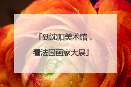 到沈阳美术馆，看法国画家大展