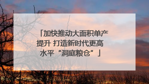 加快推动大面积单产提升 打造新时代更高水平“洞庭粮仓”