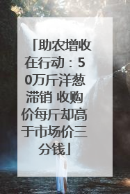 助农增收在行动：50万斤洋葱滞销 收购价每斤却高于市场价三分钱