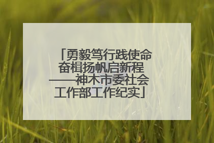 勇毅笃行践使命 奋楫扬帆启新程——神木市委社会工作部工作纪实