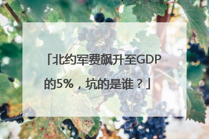北约军费飙升至GDP的5%，坑的是谁？