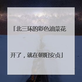 北三环的彩色油菜花开了，就在朝阳安贞