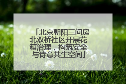 北京朝阳三间房北双桥社区开展花箱治理，构筑安全与诗意共生空间