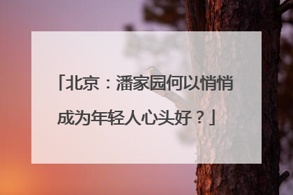 北京：潘家园何以悄悄成为年轻人心头好？