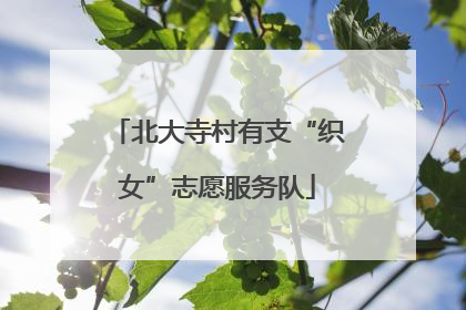 北大寺村有支“织女”志愿服务队