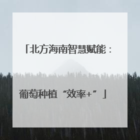 北方海南智慧赋能：葡萄种植“效率+”