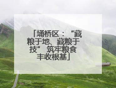 埇桥区：“藏粮于地、藏粮于技” 筑牢粮食丰收根基