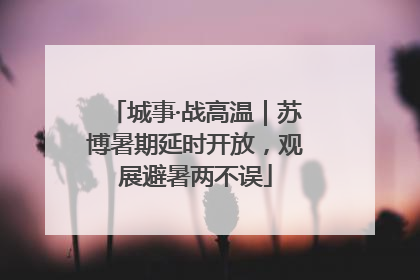城事·战高温｜苏博暑期延时开放，观展避暑两不误