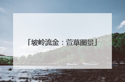 坡岭流金：萱草图景
