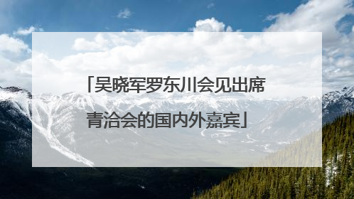 吴晓军罗东川会见出席青洽会的国内外嘉宾