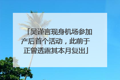 吴谨言现身机场参加产后首个活动，此前于正曾透露其本月复出