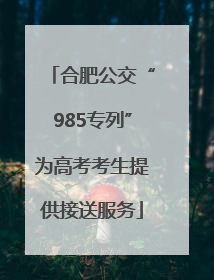合肥公交“985专列”为高考考生提供接送服务