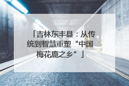 吉林东丰县：从传统到智慧重塑“中国梅花鹿之乡”