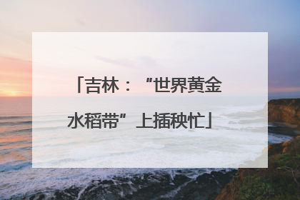 吉林：“世界黄金水稻带”上插秧忙