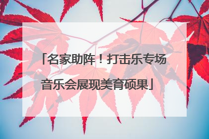 名家助阵！打击乐专场音乐会展现美育硕果