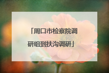 周口市检察院调研组到扶沟调研
