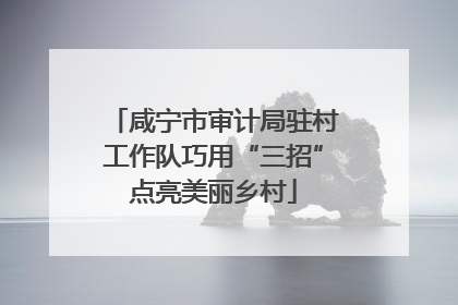 咸宁市审计局驻村工作队巧用“三招”点亮美丽乡村