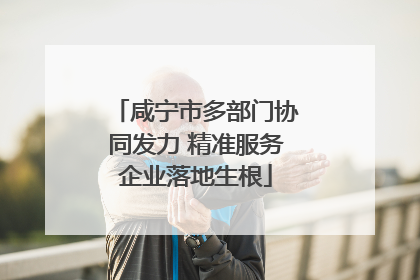 咸宁市多部门协同发力 精准服务企业落地生根