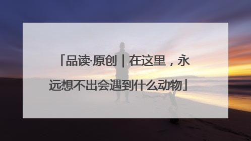 品读·原创｜在这里，永远想不出会遇到什么动物