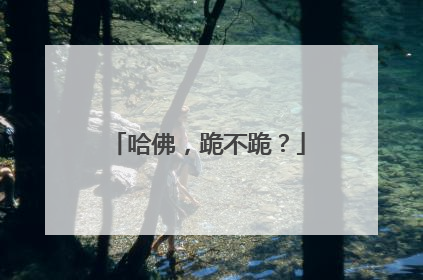 哈佛，跪不跪？