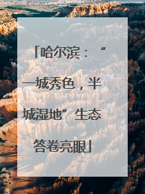 哈尔滨：“一城秀色，半城湿地”生态答卷亮眼