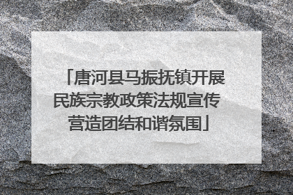 唐河县马振抚镇开展民族宗教政策法规宣传 营造团结和谐氛围