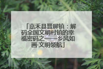 嘉禾县晋屏镇：解码全国文明村镇的幸福密码之——乡风如画·文明领航