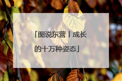 图说东营丨成长的十万种姿态