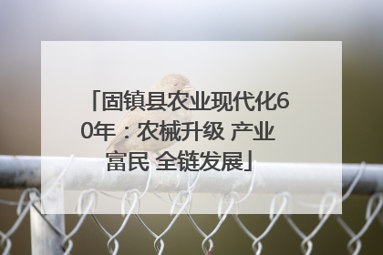 固镇县农业现代化60年：农械升级 产业富民 全链发展