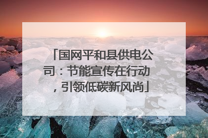 国网平和县供电公司：节能宣传在行动，引领低碳新风尚