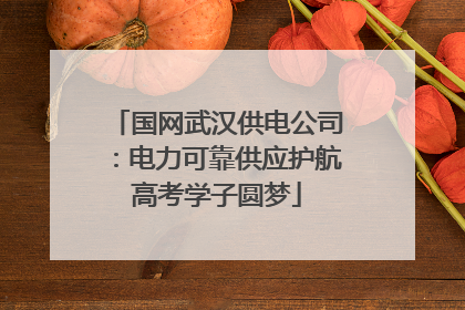国网武汉供电公司：电力可靠供应护航高考学子圆梦