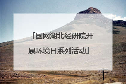 国网湖北经研院开展环境日系列活动
