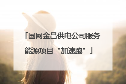国网金昌供电公司服务能源项目“加速跑”