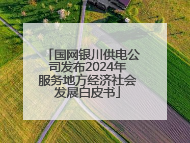 国网银川供电公司发布2024年服务地方经济社会发展白皮书