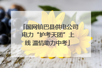 国网镇巴县供电公司 电力“护考天团”上线 温情助力中考