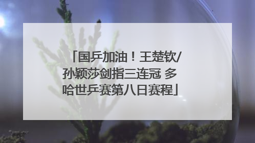 国乒加油！王楚钦/孙颖莎剑指三连冠 多哈世乒赛第八日赛程