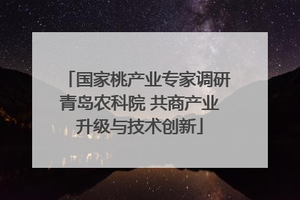 国家桃产业专家调研青岛农科院 共商产业升级与技术创新