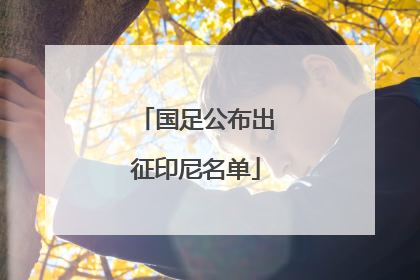 国足公布出征印尼名单