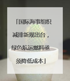 国际海事组织减排新规出台，绿色航运燃料亟须降低成本