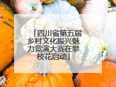 四川省第五届乡村文化振兴魅力竞演大赛在攀枝花启动