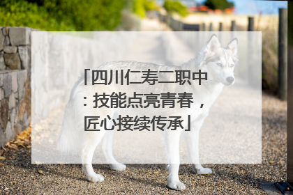 四川仁寿二职中：技能点亮青春，匠心接续传承