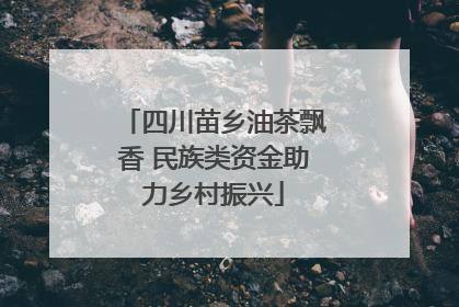 四川苗乡油茶飘香 民族类资金助力乡村振兴