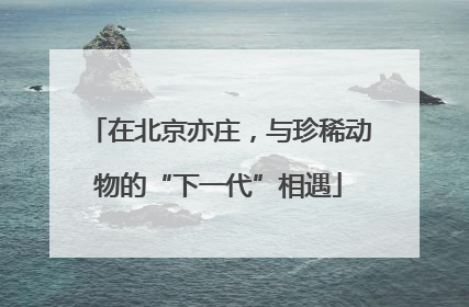 在北京亦庄，与珍稀动物的“下一代”相遇