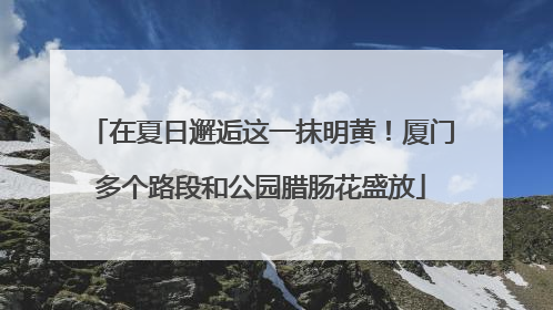 在夏日邂逅这一抹明黄！厦门多个路段和公园腊肠花盛放