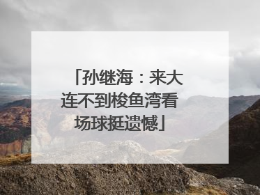 孙继海：来大连不到梭鱼湾看场球挺遗憾