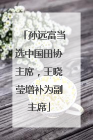 孙远富当选中国田协主席，王晓莹增补为副主席