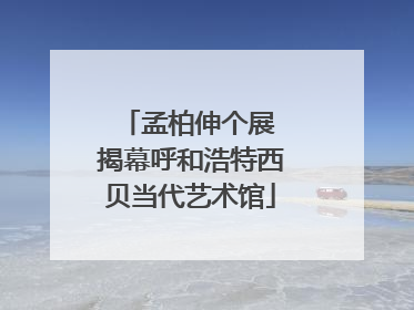 孟柏伸个展 揭幕呼和浩特西贝当代艺术馆