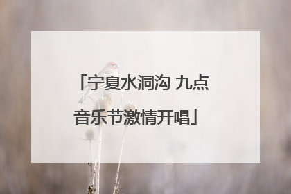 宁夏水洞沟 九点音乐节激情开唱