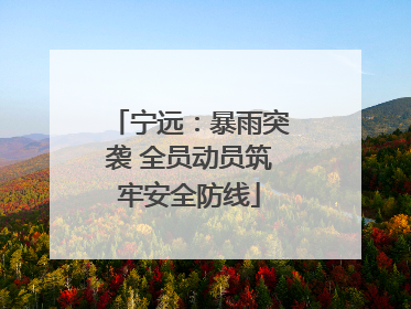 宁远：暴雨突袭 全员动员筑牢安全防线