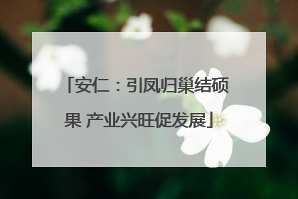 安仁：引凤归巢结硕果 产业兴旺促发展